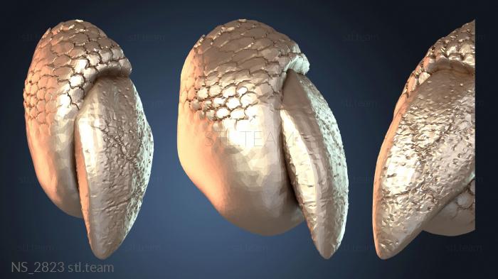 Нестандарт NS_2823