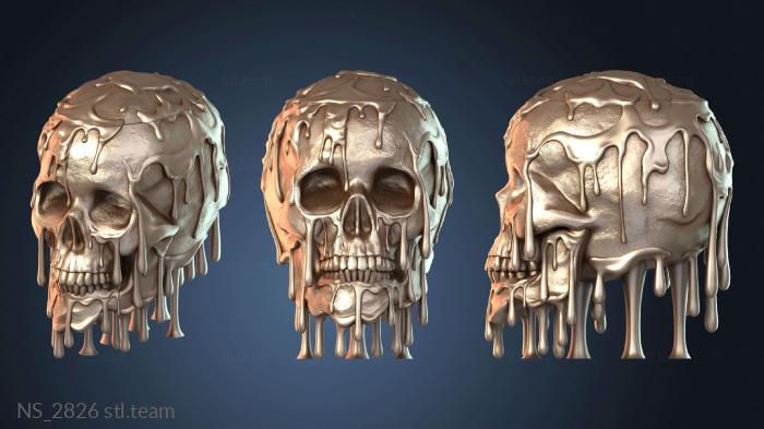 Нестандарт NS_2826