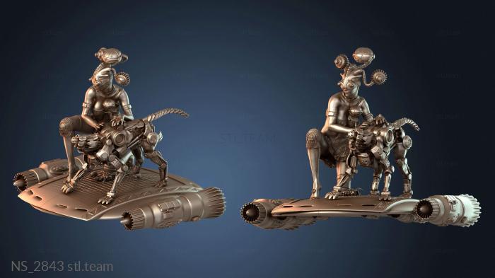 Нестандарт NS_2843