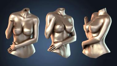 3D модель Красавица и Чудовище Белль Картина (STL)