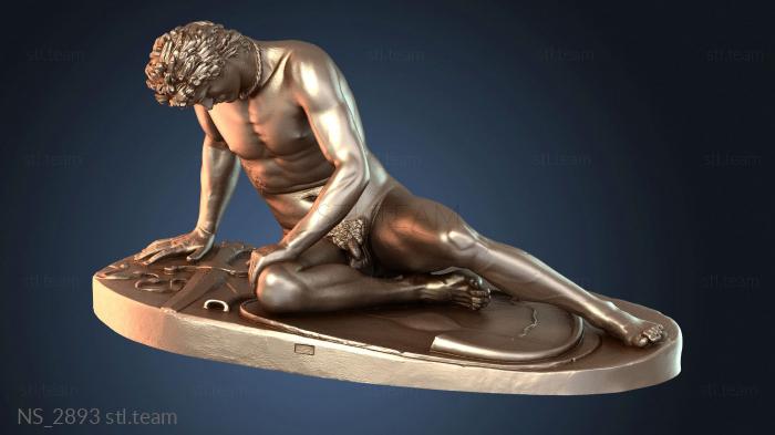 Нестандарт NS_2893