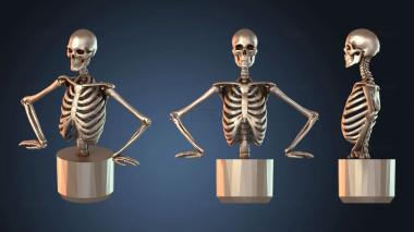 3D model Toilet Roll Skeletons Skeleton (STL)
