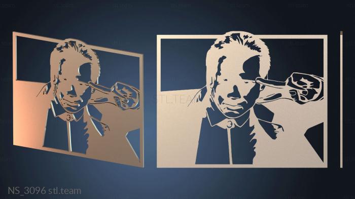 Нестандарт NS_3096