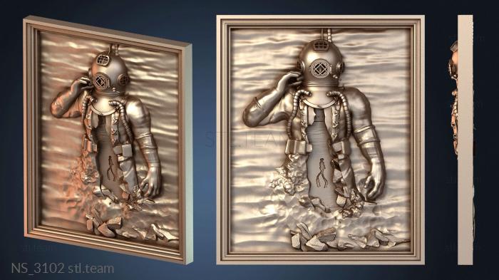 Нестандарт NS_3102