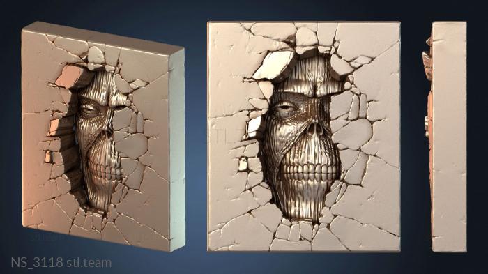 Нестандарт NS_3118