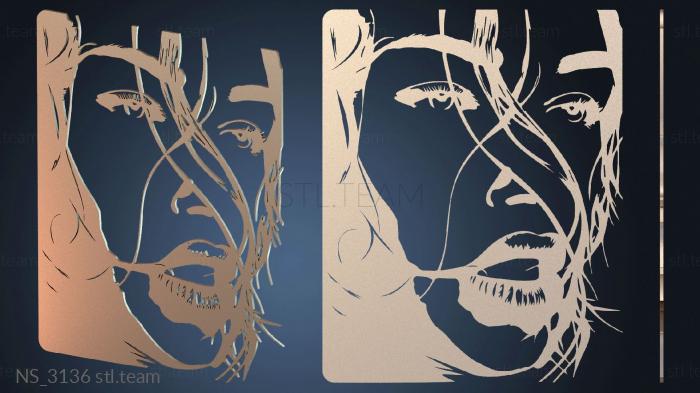 Нестандарт NS_3136