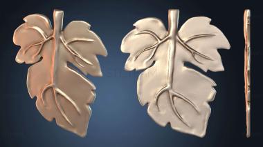 3D модель Фиговый листок волшебников (STL)