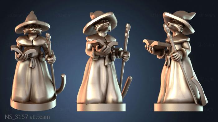 Нестандарт Wizards Kitten Wizard