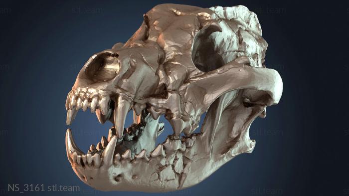 Нестандарт Wolf Skull Savage