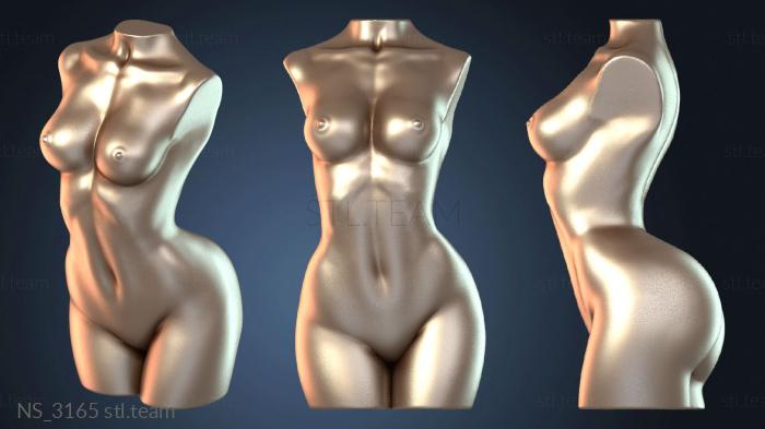 Нестандарт Woman Torso Sculpt Venus Build