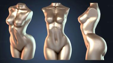 3D модель Женский торс, скульптура Венеры (STL)