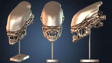 3D model Xenomorph Trophy (STL)