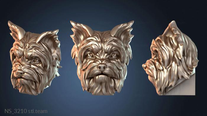 Нестандарт NS_3210