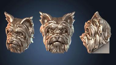 3D модель NESTANDART_3210 (STL)