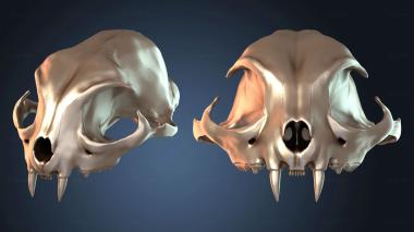 3D модель NESTANDART_3249 (STL)