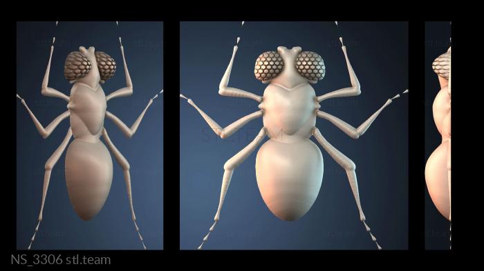 Нестандарт NS_3306