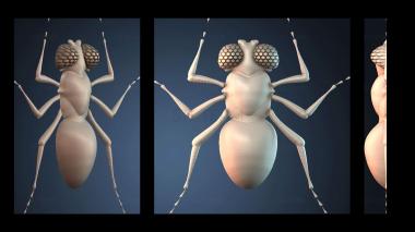 3D model NESTANDART_3306 (STL)