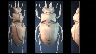 3D model NESTANDART_3307 (STL)