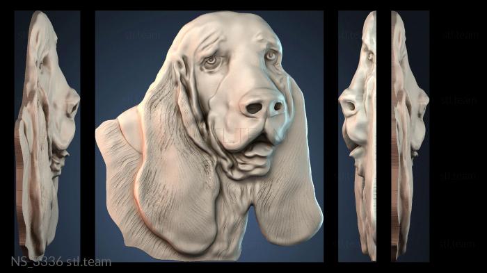 Нестандарт NS_3336