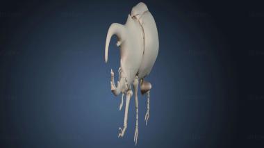 3D модель Навозный жук пилит древесину (STL)