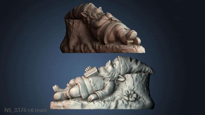 Нестандарт NS_3376