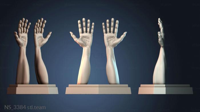 Нестандарт NS_3384