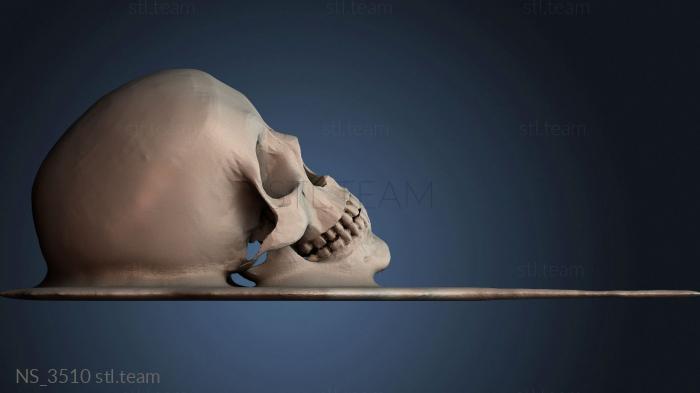 Нестандарт NS_3510