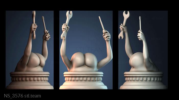 Нестандарт NS_3576