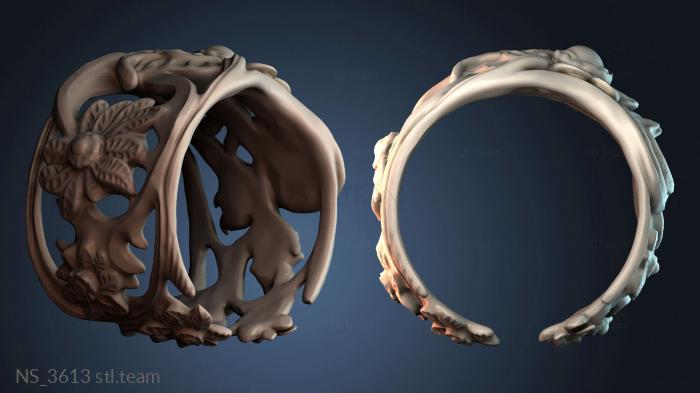 Нестандарт NS_3613