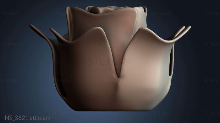 Нестандарт NS_3621