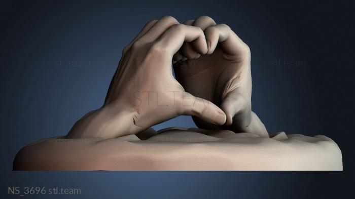 Нестандарт NS_3696