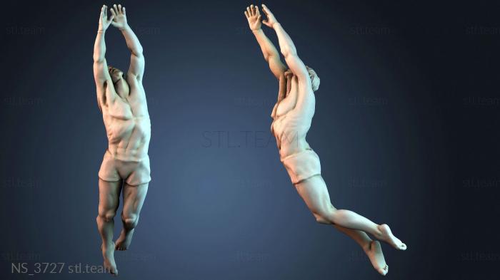 Нестандарт NS_3727