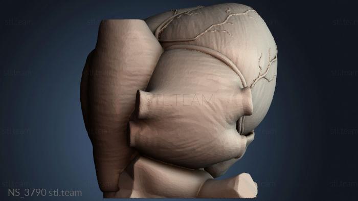 Нестандарт NS_3790