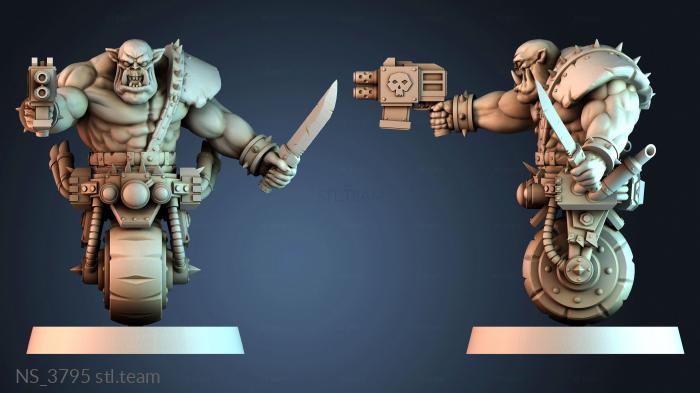 Нестандарт NS_3795