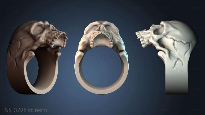 Нестандарт NS_3798