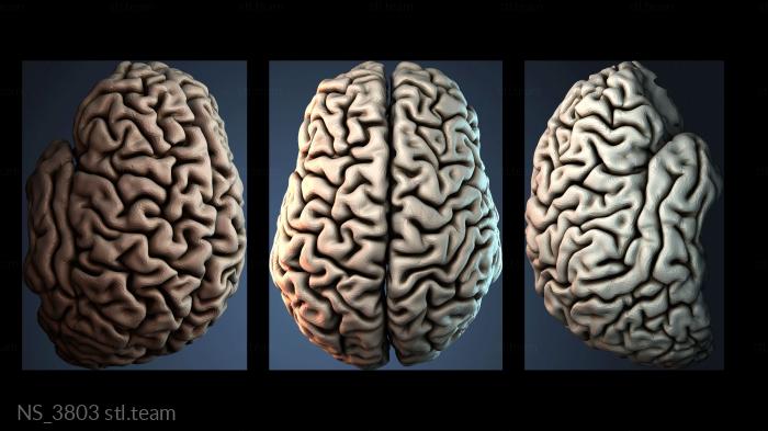 Нестандарт NS_3803