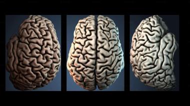 3D модель NESTANDART_3803 (STL)