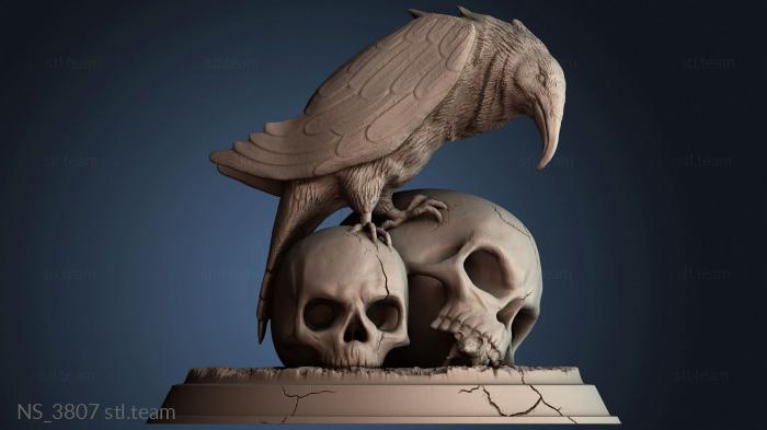 Нестандарт NS_3807