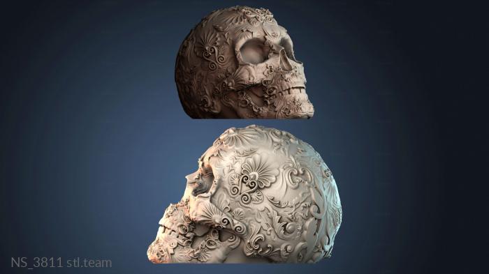 Нестандарт NS_3811