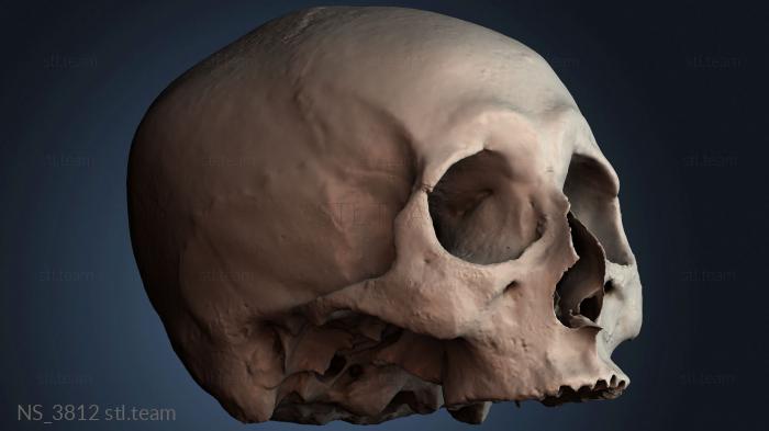 Нестандарт NS_3812