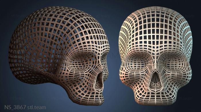 Нестандарт NS_3867