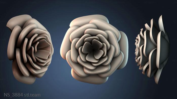 Нестандарт NS_3884