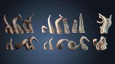 3D model Assorted Tentacles (STL)