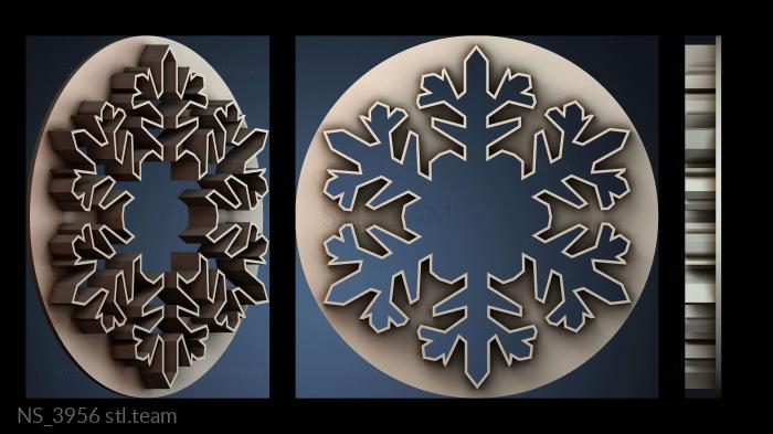 Нестандарт NS_3956