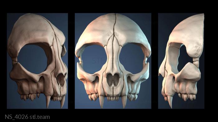 Нестандарт NS_4026