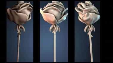 3D model Deadly Rose (STL)