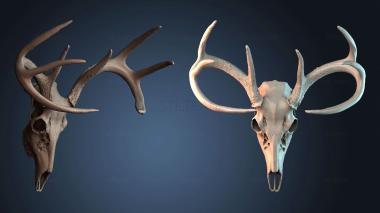 3D модель NESTANDART_4106 (STL)