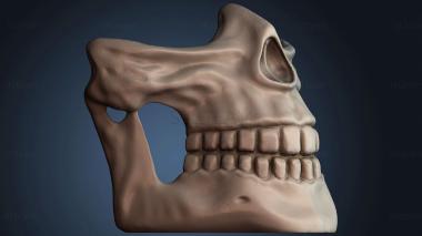 3D модель NESTANDART_4159 (STL)