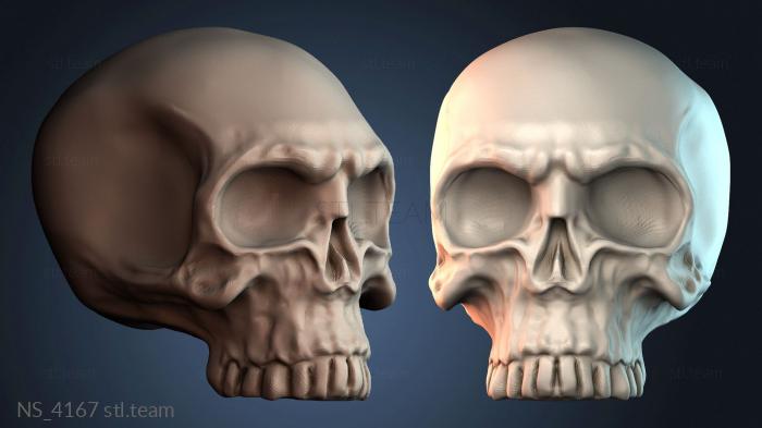 Нестандарт NS_4167