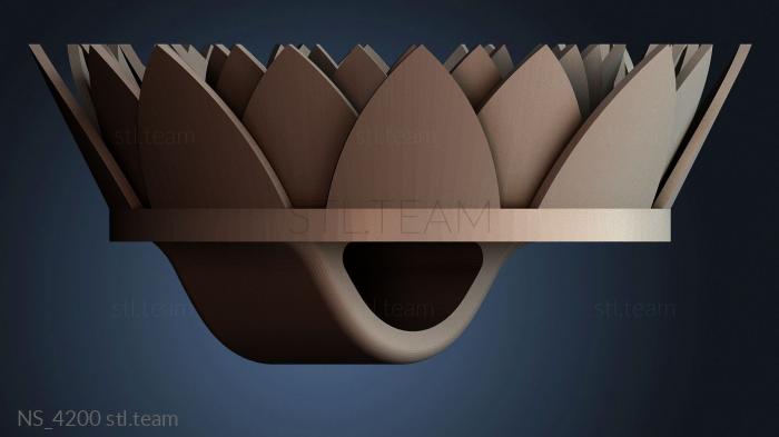 Нестандарт NS_4200